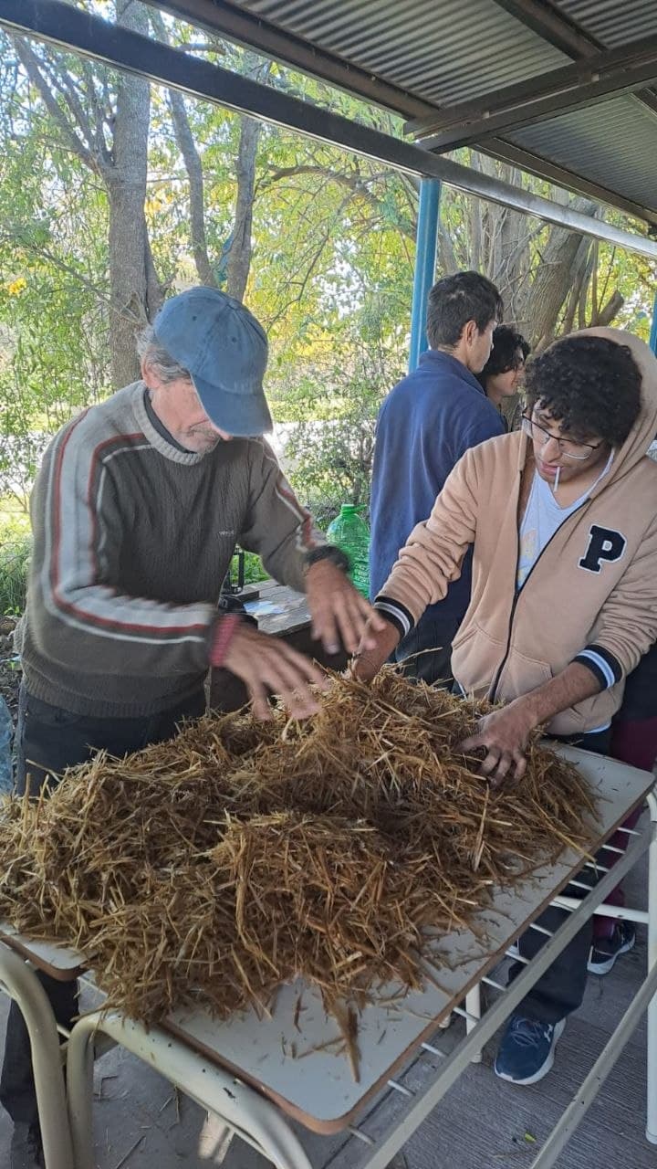 Fernando Capece: Cuando el Reino Fungi se encuentra con la Dialéctica
