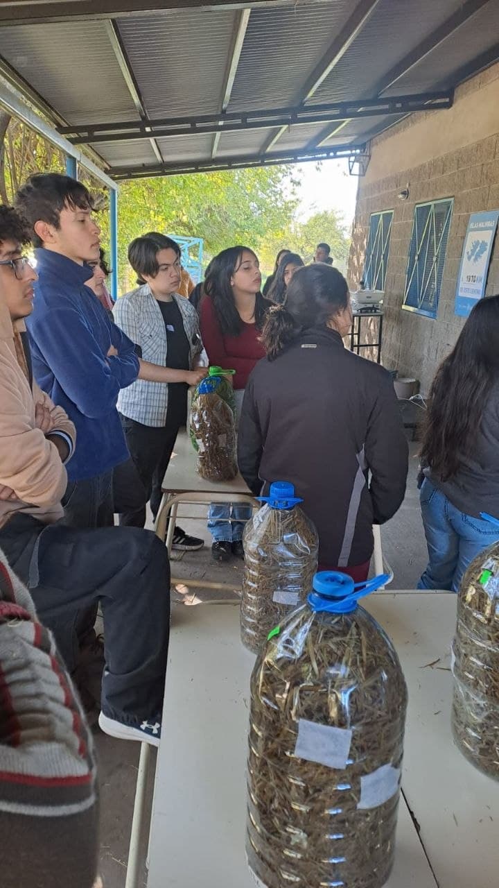 Cuadernillo del curso de producción de hongos — CEA N34