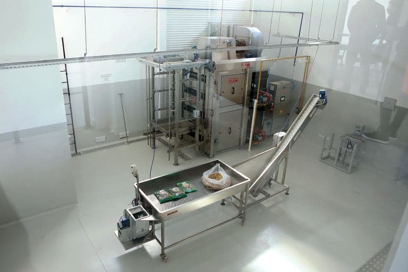 Interior de la Planta PAIS — sector de producción