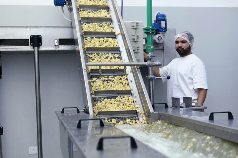 Personal de la Planta PAIS trabajando en la línea de producción