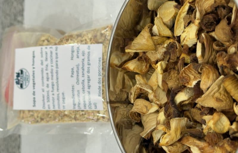 La UNLP creó una sopa crema de gírgolas deshidratada para comedores sociales